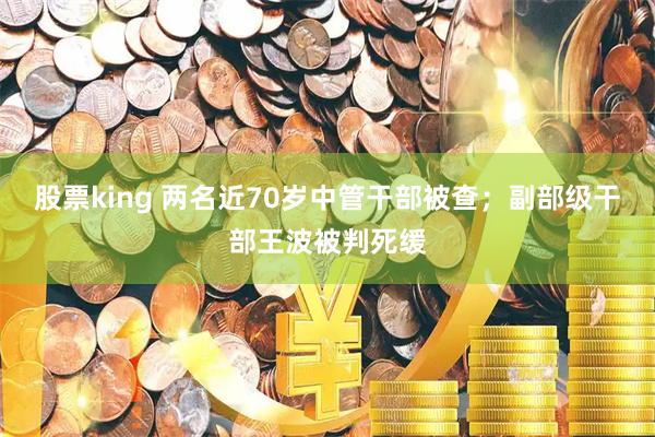 股票king 两名近70岁中管干部被查；副部级干部王波被判死缓