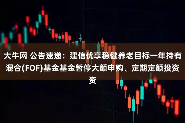 大牛网 公告速递：建信优享稳健养老目标一年持有混合(FOF)基金基金暂停大额申购、定期定额投资