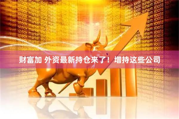 财富加 外资最新持仓来了！增持这些公司