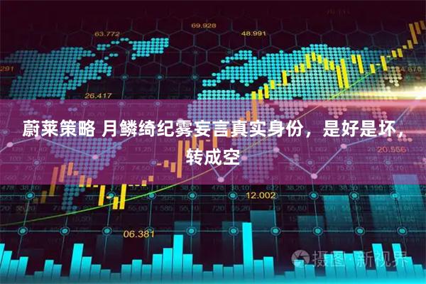 蔚莱策略 月鳞绮纪雾妄言真实身份，是好是坏，转成空